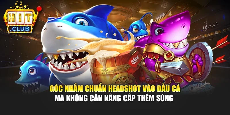 Góc nhắm chuẩn headshot vào đầu cá mà không cần nâng cấp thêm súng